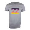Camiseta Billabong Team Wave III - Cinza - 1