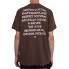 Camiseta Osklen Coexisting 63977