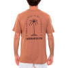 Camiseta Quiksilver Living Mirage Marrom Q471A0420