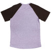 Camiseta DC Juvenil Raglan Star - Cinza Mescla/Marrom 2