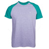 Camiseta Element Raglan Fundamental - Cinza Mescla/Verde1