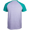 Camiseta Element Raglan Fundamental - Cinza Mescla/Verde2