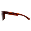 Óculos de Sol Evoke Evk 15 G21 Turtle Brown3