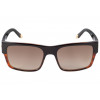 Óculos de Sol Evoke Capo VI B03 - Black/Turtle/Brown - 2