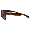 Óculos de Sol Evoke Trigger - Turtle/Gold/Brown - 3