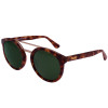 Óculos de Sol Evoke Kosmopolite G22 Demi - Turtle/Green 1