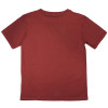 Camiseta Hang Loose Juvenil Original Roots - Vinho - 2