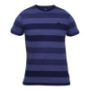Camiseta Quiksilver Shapely Stripe - 1